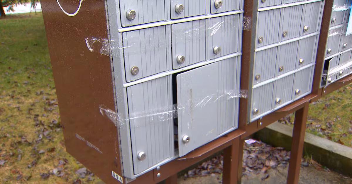 8 Punjabi busted for stealing mail – again